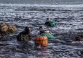 Ketangguhan Haenyeo, Para Penyelam Perempuan di Pulau Jeju