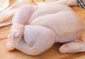 Wajib Tahu, Ini Cara Mudah Membedakan Daging Ayam Segar dan Ayam yang Sudah Membusuk