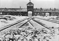 Begini Upaya Nazi Tutupi Kejahatan Mereka di Kamp Kematian Auschwitz