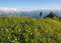 Perubahan Iklim Justru Membuat Tanaman di Puncak Gunung Bermekaran, Apa Alasannya?