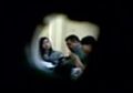 Beredar, Video Pelecehan Seksual Diduga Guru Terhadap Dua Muridnya