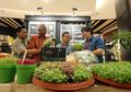 Yuk Konsumsi Buah dan Sayur Organik! Tak Susah untuk Mendapatkannya, Datangi Saja Acara Ini