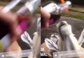 Bijak Menggunakan Media Sosial, Jangan Sampai Menyesal Seperti Pembuat 3 Video Viral Ini