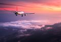 Lagi-Lagi Pilot Kepergok Pakai Narkoba, 2 Pramugari Cantik Ini Jadi Ikut Repot Saat Digelandang Polisi