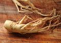 Ternyata Ginseng Punya Banyak Manfaat, Tak Hanya Baik untuk Kesehatan Seksual Pria Namun Juga Berbagai Kebaikan Ini