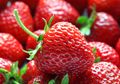 Selain Cantik dan Enak, Buah Stroberi Ternyata Punya Banyak Manfaat loh! Nomor 4 Penting nih Bagi yang Mau Kurus