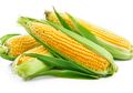 Tak Hanya Isinya, Ternyata Rambut Jagung Juga Memiliki Beragam Manfaat, loh!