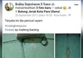 Viral Foto Kucing Digantung Hanya Gara-Gara Sepotong Ayam Goreng