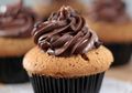 Cappucino Chip Cup Cake