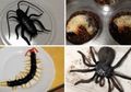 Kue Bentuk Serangga yang Mengerikan, Berani Coba?