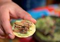 Mengerikan, Beberapa Serangga Ini Bisa Dimakan