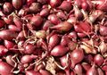 Ingin Miliki Wajah 'Glowing' dan Awet Muda? Bawang Merah Rahasianya!