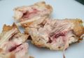 Selain Tidak Matang, Ini Penyebab Lain Daging Ayam Bebercak Darah