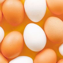 Stop Konsumsi Telur Bareng 4 Makanan Ini, Bikin Tubuh Sengsara