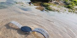 Cara Mudah Menjaga Samsung Watch Active di Dalam Air Laut