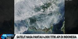 Begini Kondisi Karhutla di Sumatera dan Kalimantan Berdasarkan Pantauan Satelit NASA