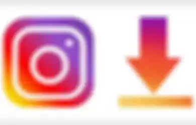 Fitur Data Download Instagram