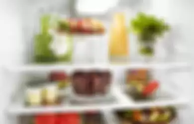 Makanan di dalam kulkas