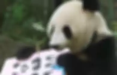 Yang Yang, seekor panda yang hasil karyanya akan dijual seharga 560 US Dolar