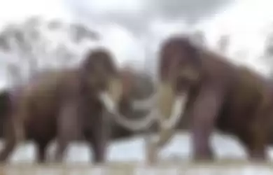 Ilustrasi Mammoth