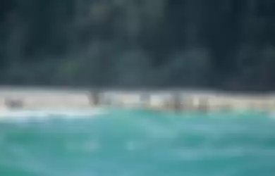 Satu dari sedikit foto yang memperlihatkan sekilas penduduk pulau Sentinel Utara, kepulauan Andaman,