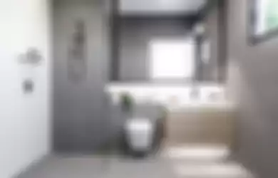 Sekat pemisah di kamar mandi pria