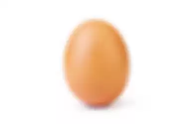 Foto telur di akun Instagram @world_record_egg