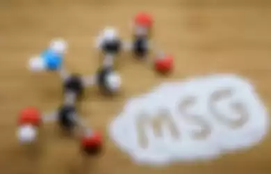 Kimia MSG