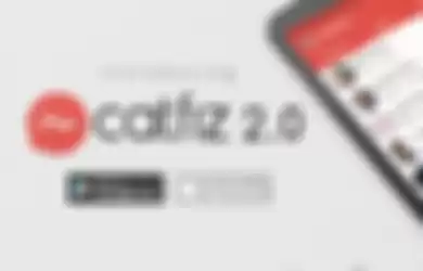 catfiz 2.0