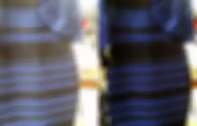 Dress Ini Warnanya Biru Hitam apa Putih Emas Ini Fakta Ilmiahnya