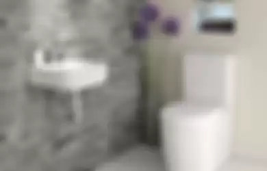 Mengatasi WC mampet