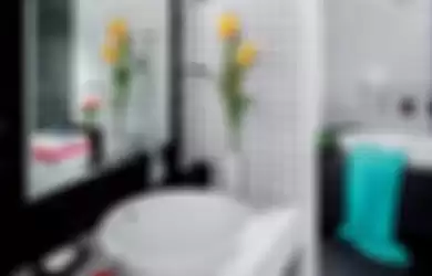 Kamar Mandi Hitam Putih yang Memikat