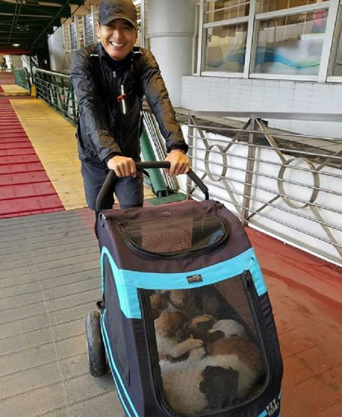 Chow juga aktif membantu hewan terlantar yang membutuhkan rumah