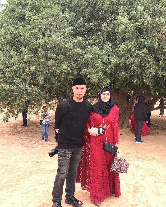Pohon Shahabi