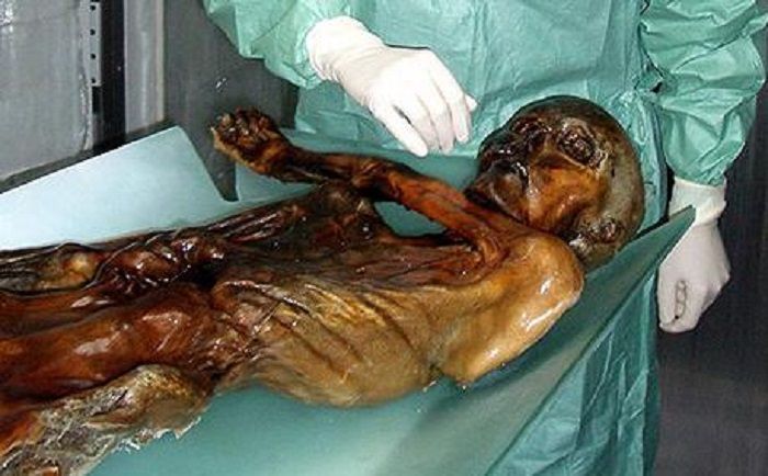 Kutukan Iceman