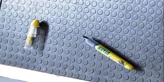 Bolpen yang digunakan untuk alat menyandra pramugari