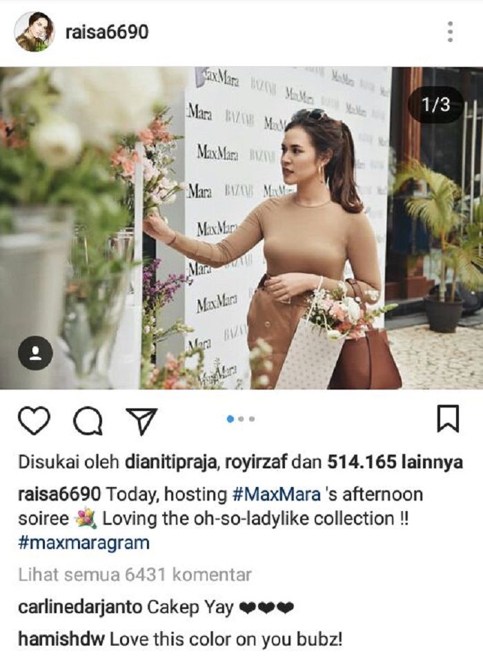 Komentar Hamish