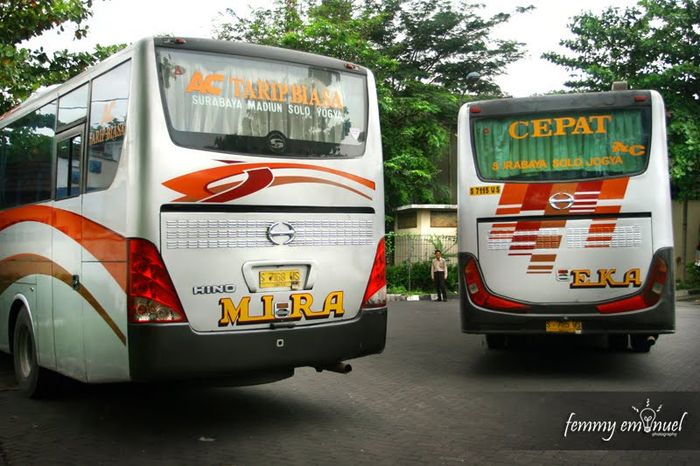 Bus Mira dan Bus Eka