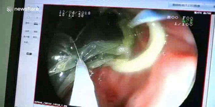 Korek api dibungkus selubung dari karet  latek