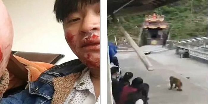Sang turis iseng mendapat karma dengan luka di tangan dan wajahnya