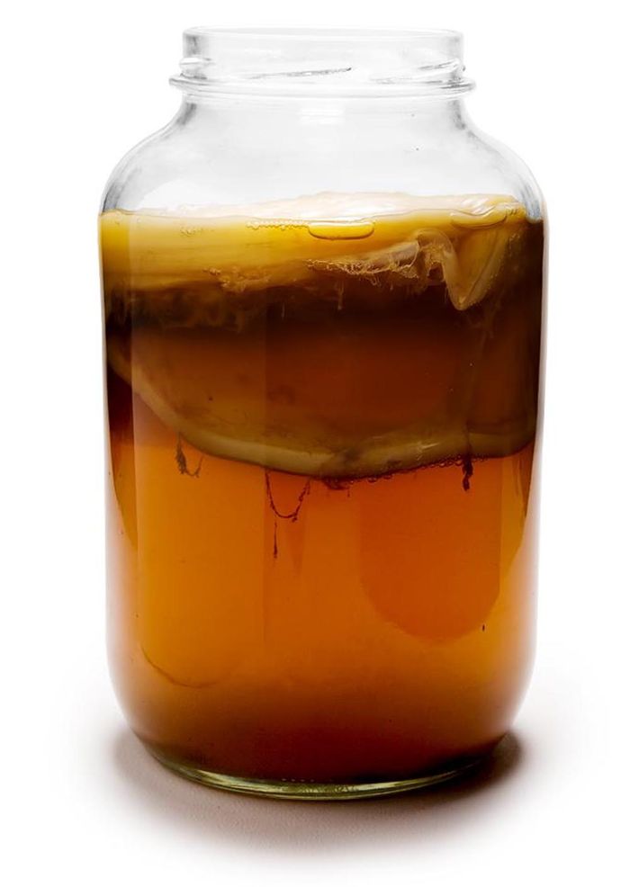 Matcha-kombucha