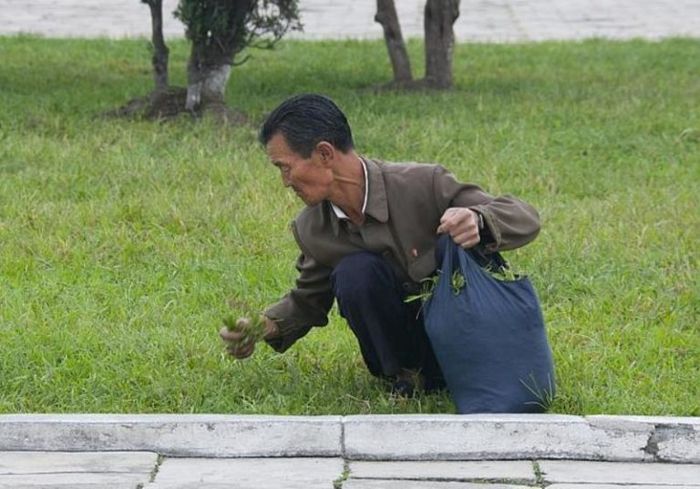 Warga terpaksa memakan rumput.