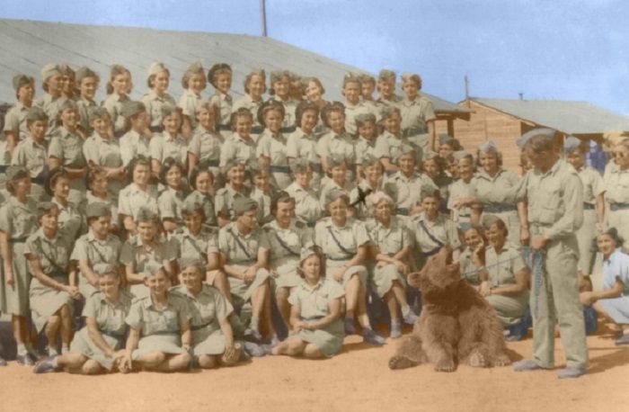 Wojtek si Beruang