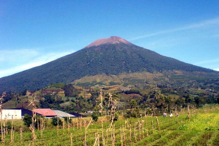 gunung Slamet
