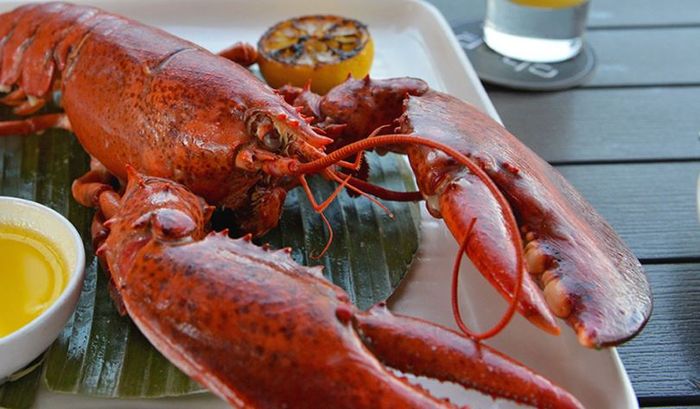 Lobster