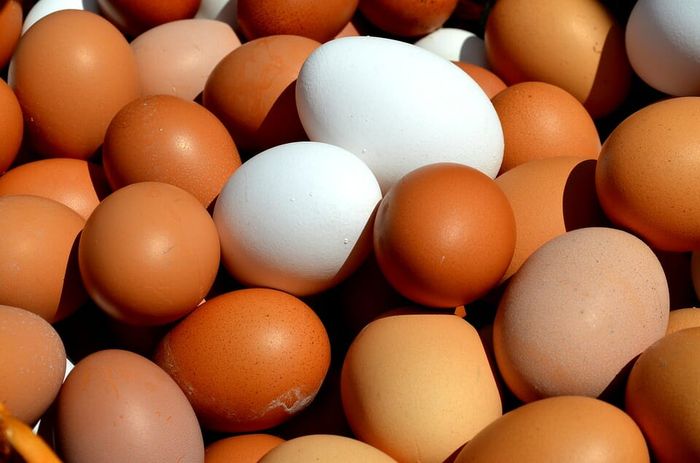 Konsumsi <a href='https://jakarta.tribunnews.com/tag/telur' title='telur'>telur</a> 2 butir per hari dan dapatkan sejumlah manfaatnya