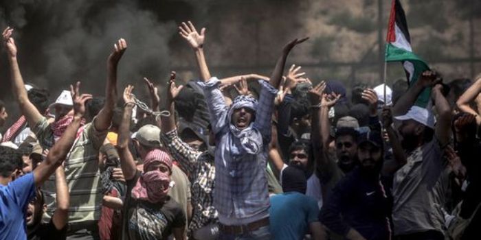 Hamas
