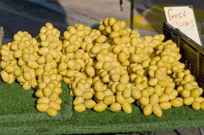 Kurma segar