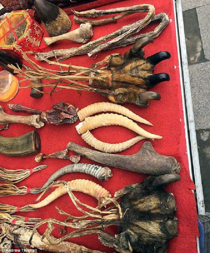 Barang lain yang dijual di Pasar Hohot
