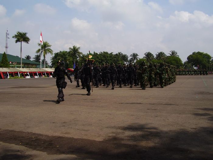 Pasukan khusus TNI
